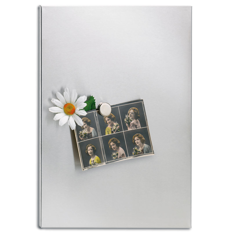 Muro Wall Mounted Bulletin Board & Reviews AllModern